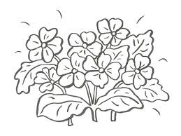 Dibujos Flores Para Colorear