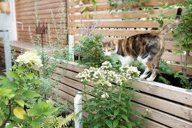 Meine Garten Bepflanzung Villa Josefina In 2020 Bepflanzung Sichtschutz Selber Bauen Garten Planen