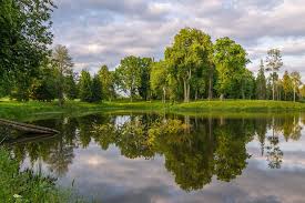 Vi laver alternativ pop på dansk. Moniste Jarv Mapio Net