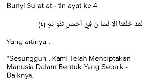 Bila matang, warnanya coklat, berbiji seperti. Surat At Tin Ayat 4