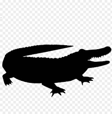 Polish your personal project or design with these alligator head transparent png images, make it even more personalized and more attractive. Alligator Vector Silhouette Transparent Alligator Silhouette Png Image With Transparent Background Toppng