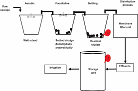 Flow Diagrams Of Oxidation Ponds At Twwtp 1 Secondary Ef