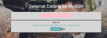 Checking keputusan rayuan boleh disemak melalui portal rasmi bermula 16 november 2020. Cara Semak Status Pembayaran Bantuan Sara Hidup 2019 Bsh Fasa Pertama Sayidahnapisahdotcom