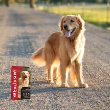 ★ concept for life veterinary diet. Pet Food Frequent Purchase Program Berend Bros