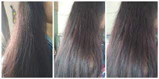 Garnier Color Naturals Burgundy 3 16 Review Application Garnier Color Natural Hair Color Burgundy Burgundy Hair
