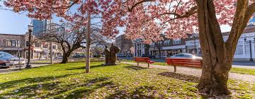 How to get a captains license in ct. New Residents Stamford Ct