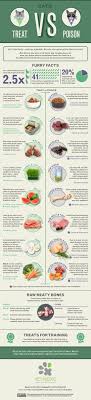 A Quick And Handy Guide Of Kitty Treats Vs Poisons Http Chzb Gr 1qjo9c4 Cat Care Tips Pet Health Cat Care