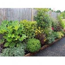 Pin On Landscaping Outdoor Ideas