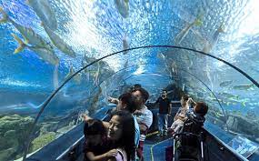 Check spelling or type a new query. 5 Fun Things To Do In Malls Around Klang Valley The Star