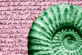The Origins Of Idioms Are Lost In The Mists Of Metaphor And Meaning They Are The Fossilized Poetry Of Language Capstan