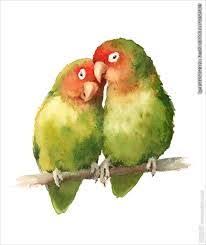油畫愛情鳥 的圖片搜尋結果 Watercolor Bird Love Birds Painting Watercolor Animals