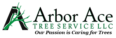Offering tree trimming, tree removal and more, them have been in business since 2000. Home Arbor Ace Tree Service