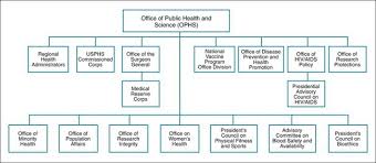 Public Health System Structure And Function Basicmedical Key