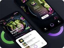 Augmented Reality Food Recipe App Food App Augmented Reality Web App Design