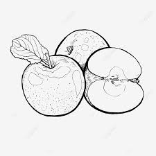 Juni 7, 2021april 23, 2021 oleh agustinus aryadhie. Gambar Draf Garis Apel Asli Yang Dilukis Dengan Tangan Sederhana Sketsa Sketsa Kecil Segar Lukisan Tangan Pola Dekoratif Kartun Png Transparan Clipart Dan File Psd Untuk Unduh Gratis