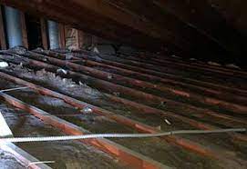 The benefits of a clean and efficient attic are evident for any business owner. Mice Removal Crawl Space Cleaning San Mateo
