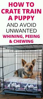 A certain amount of noise and complaining is absolutely normal and it's important not to let it spoil your puppy potty training efforts. Crate Training A Puppy Whining Peeing Chewing Solved Crate Training Puppy Puppy Training Puppy Whining
