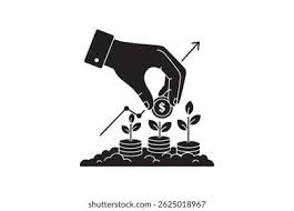 Image result for pachira obrázek