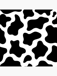 (not compatible with apple magsafe wireless charger or magsafe. Cow Print Sticker By Puddless Redbubble Cow Print Wallpaper Cow Wallpaper Print Wallpaper