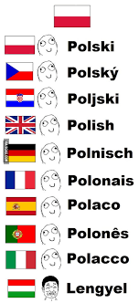 #wegry #prawybory #neuropa #postkomunistycznepanstwomafijne *wybacz @eoneon pożyczenie tagu #polityka pokaż całość. To Our Friend From Wegry How Do You Say My Language In Your Language 9gag