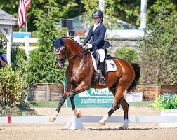Folk, Bacon, Woodcock, Berger Win Youth Divisions at 2024 U.S. Dressage  Championships