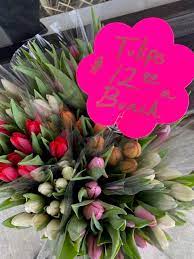 Check spelling or type a new query. About Flowers By Reni Reviews Hours Delivery In Fishkill Ny