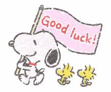 Image result for good luck