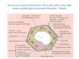 Your browser will take you to a web page (url) associated with that doi name. Btec Nqf L3 Applied Science Unit 1 Ppt Download