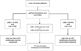 How do you diagnose cirrhosis of the liver? Non Invasive Evaluation Of Liver Steatosis Fibrosis And Cirrhosis In Hepatitis C Virus Infected Patients Using Unidimensional Transient Elastography Fibroscan Intechopen