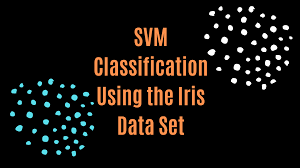 A Peek into SVM Classification through Iris