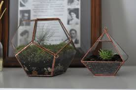 Universe Terrarium Kit Large Dodecahedron Glass Terrarium Etsy Terrariums Kits Glass Terrarium Terrarium