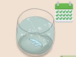 Oxygen nasal cannulas by salter labs and westmed. 3 Ways To Insert A Nasal Cannula Wikihow