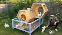 Discover secret to build 2 level rabbit house from discarded wood