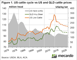 us and australia cattle price cycle outlook and analysis