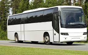 Several factors affect the total cost of the ride, including the type of vehicle, when the party bus is needed for pick up and drop off, party bus packages, any luxury features or special requests, and the number of passengers. 2021 Party Busy Prices How Much Is A Party Bus Thumbtack