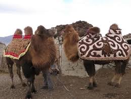 Divine beast vah naboris' neck will rise (as you can see in the gallery above), and you'll have access to an elevator. Pin On Other Animals