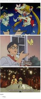 What Are Butterflies Anime Funny Anime Funny Pictures