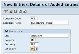 what is company code how to define company code in sap