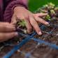 Community Working Wednesday — Woven Roots Farm