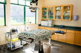Standard And Emergency Surgery Procedures Are Offered By Indian Tree Animal Hospital Our State Of The Art Surgical Sui Animal Hospital Veterinarian Home Decor