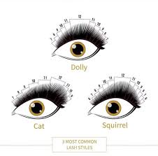 Professional Eyelash Extension Supplies Eyelash Wholesale Vietnam Oem