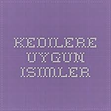 Kedi Isimleri Kedi Evcil Hayvanlar