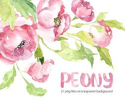 Pin On Watercolor Flowers