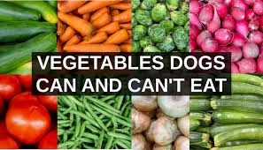 vegetables dogs can eat and vegetables