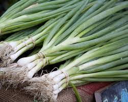 Maybe you would like to learn more about one of these? Green Onion Leaves Buy Green Onion Leaves For Best Price At Inr 20 Kilogram Approx