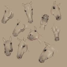 Horse Head Angles By Jenpenjen On Deviantart Horse Drawings Horse Sketch Horse Art