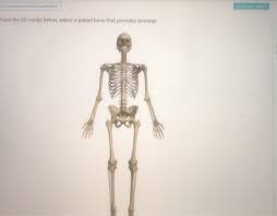Till then, i park resources here. From The 3d Model Select A Sesamoid Bone Hint Chegg Com