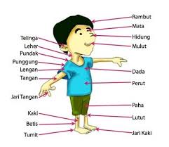 We did not find results for: Materi Ipa Kelas 1 Semester 1 Sd Mi Materi S1 Pendidikan Guru Sekolah Dasar