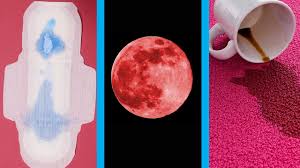 Maybe you would like to learn more about one of these? What You Don T Know About Your Period Put A Cup In It