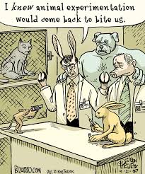 53 Shocking Illustrations Reveal How Animals Feel By Switching Them With Humans Parallel Universe Bizarro Comic Satirical Illustrations